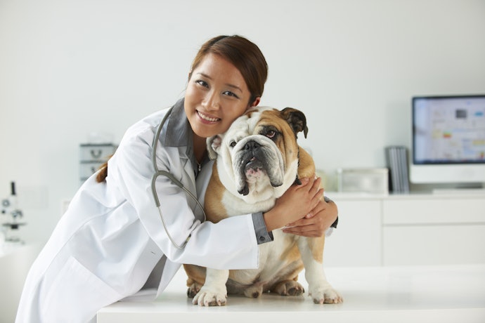 Decide if you Want to Give Preventative Probiotics Over a Long Period, or Reactive Probiotics When Illness Occurs