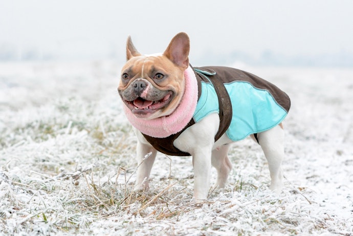 Make Sure to Choose a Material That's Suitable for Cold and Wet Weather Like Polyester or Cotton
