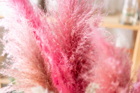 Wheat, Flowers or Grasses: Choose a Type Based on Whether You’re Looking for Colour, Fragrance or Durability