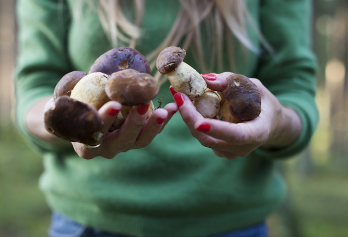 Ensure the Kit Matches the Level of Effort You Want to Put Into Growing Your Mushrooms