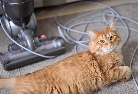 Weigh the Benefits of Power Cords Versus Cordless