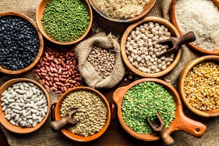 Avoid Wet Cat Foods That Contain Grains and Carbohydrates Like Corn and Wheat to Ensure They're Digestible
