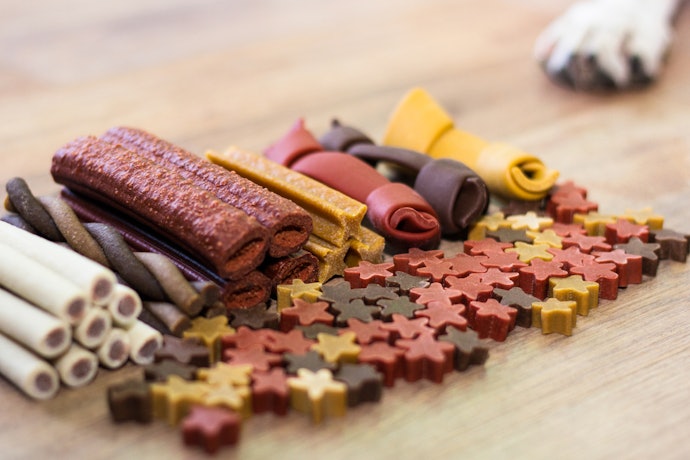 Choose Between Chewy or Crunchy Treats Depending on Your Dog’s Age and Tooth Strength