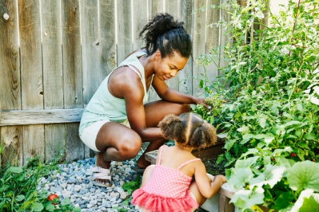 The Type of Fertiliser Will Determine How Long It Works For