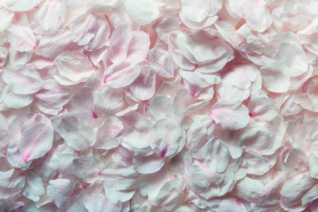Consider the Fragrance Notes: Florals Are Great for Everyday Wear, Spices Are Ideal for Special Occasions