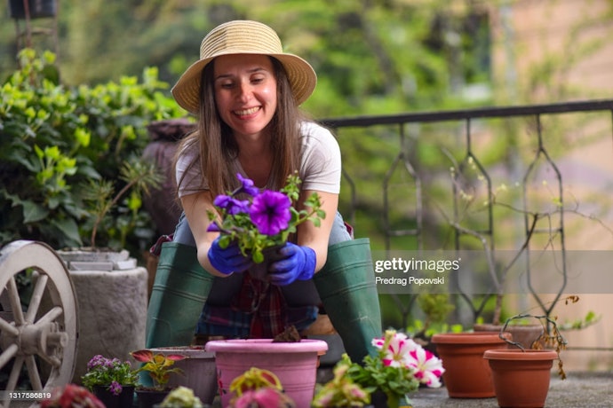 Choose Leather Gloves to Protect Against Thorns and Brambles, or Synthetic Alternatives for a More Breathable Pair