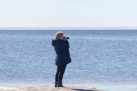 Pick a Waterproof and Fog Proof Monocular With a Multi-Coated Lens to Enjoy Viewing in All Weather Conditions