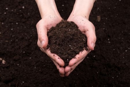 Consider Fully Biodegradable Materials for a Zero Waste Toothbrush