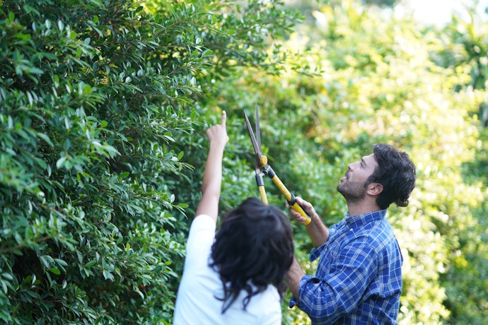 Check if the Shears Have a Coating Which Will Lengthen Its Lifespan and Keep It Clean