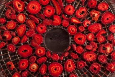 A 5 Tier Dehydrator Is Great for Making Homemade Snacks, While 10 Trays Are Better for Bulk Drying and Preserving Food