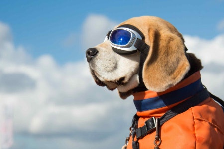 Ensure the Googles Feature 2 Secure Straps and That the Strap Length Fits the Measurements of Their Head