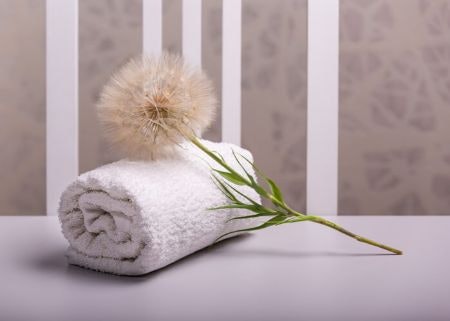 Choose Between a Natural or Chemical Formula Based on Your Preferred Intensity of the Fragrance