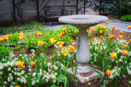 Pick a Bird Bath With a Support System That Suits Your Outdoor Space