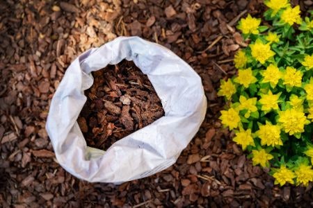 Make Sure the Soil Mix Contains Peat Moss, Pine Bark and Pearlite for a Nutrient-Dense Soil With Sufficient Air Flow