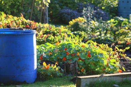 Select a Bin With the Right Capacity for Your Household, as Well as Dimensions That Will Fit Your Garden