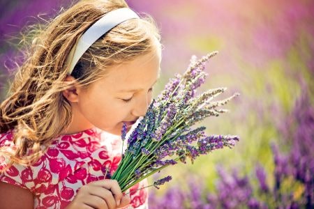 Different Scents Uplift Various Moods