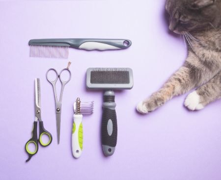 Pick From Metal, Silicone or Bristle Brushes Based on Your Intended Purpose for Grooming