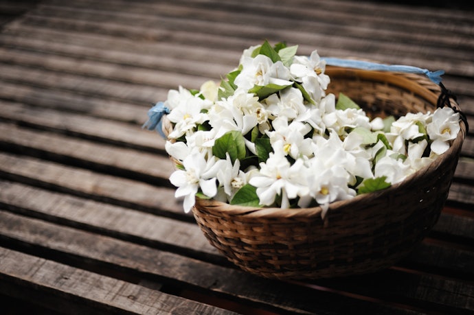 Select Natural Fragrances for Their Medicinal Properties or Synthetic Ones to Keep Costs Down
