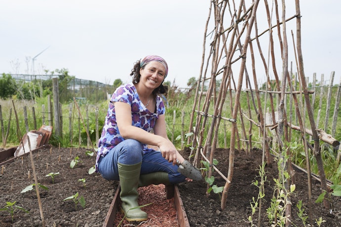 Check the Dimensions to Ensure Your Trellis Will Fulfil Its Purpose