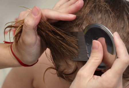 Look For Effective Lice-Fighting Ingredients Like Dimethicone and Cocamide DEA