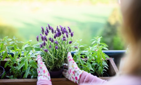 Understanding the NPK Rating: A Higher Percentage Equals a Higher Nutrient Content