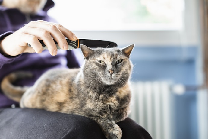 Choose Between a Single Row of Teeth for Easy Cleaning, or Pick a Comb With a Double Row of Teeth to Securely Trap Live Fleas