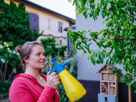 Concentrated Formula or Ready-Mixed Spray? Consider Cost Effectiveness and Ease of Use