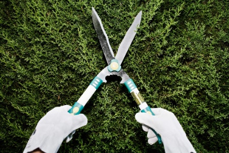 Straight Blades Will Give You Sharp, Clean Cuts, While Wavy Will Give You Grip and Cut Tough Branches