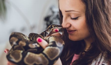 Consider a Front Opening if You Have a Pet Snake or Lizard, but You Can Go for a Top Opening if You're Keeping a Turtle or Gecko