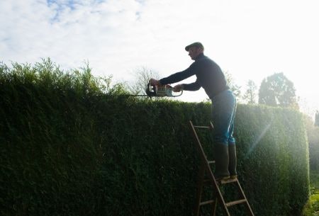 Look For a Trimmer With a Pole That Weighs Under 5 kg to Prune Tall Hedges
