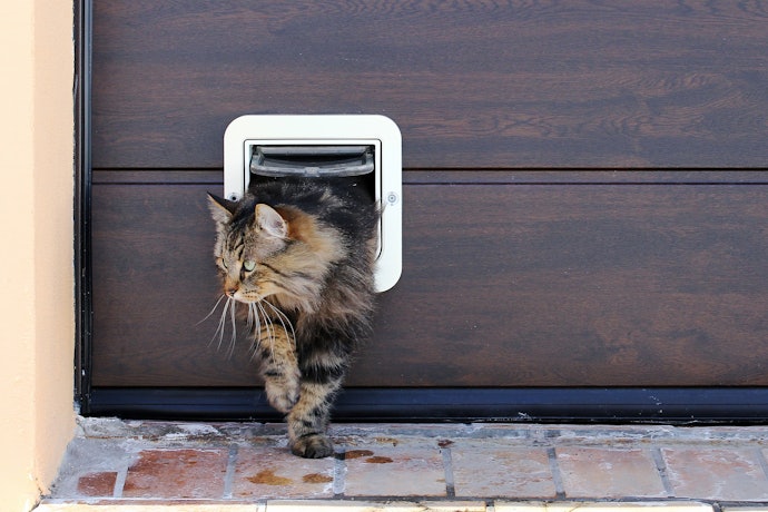 Check if It's Compatible With the Surface Location You Plan to Attach It To: Most Are Suitable for Wood and PVC Surfaces
