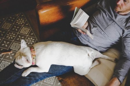 Novels Introduce Feminism Through Gripping Narratives, Factual Books Empower Readers With Data