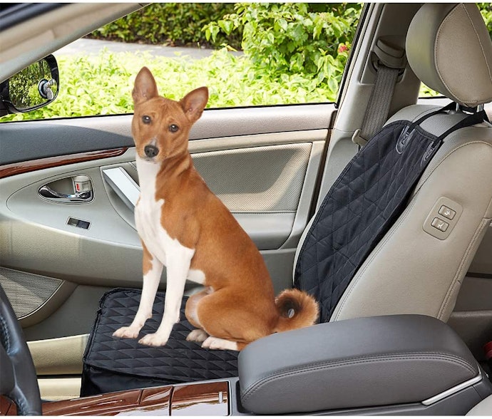 Decide Between a Single, Bench, or Hammock Style Seat Cover Depending on Where Your Dog Rides