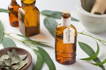 Look Out for Ingredients Which Soften the Skin, Smooth and Strengthen the Hair, and Encourage Cell Regeneration