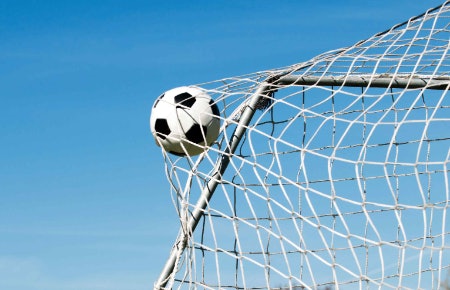 Opt for a Hardwearing HDPE Net Material to Withstand Fast Shots, or a Polyester Net if You're on a Budget