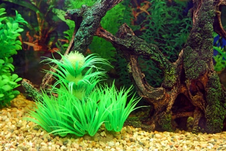 Look For Waterproof and Non-Toxic Materials Like Polyresin and Silicone