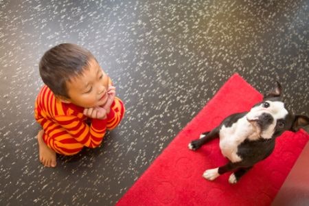 If You Live With Children or Pets, Opt For a Non-Slip Rug to Prevent Accidents