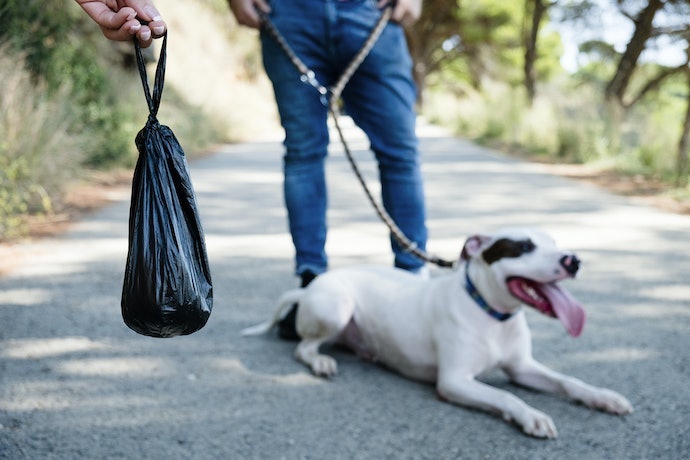 Opt For Poop Bags With Handles or Ties to Avoid Spills