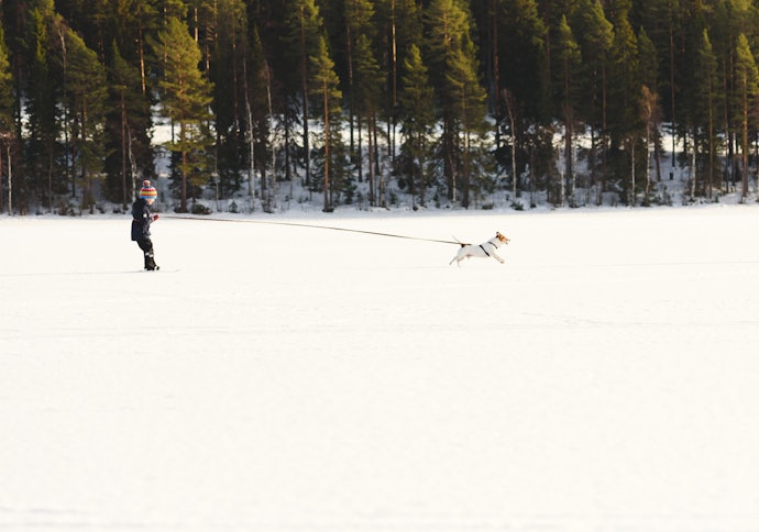 Seek Out a Bag With a Leash Attachment to Use It as a Harness