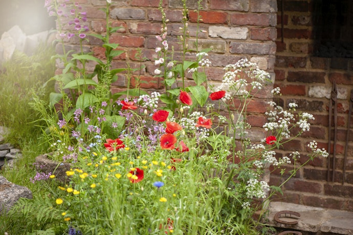Consider the Seasons and Sunlight Conditions to Help You Decide Which Type of Flowers Are Best to Grow