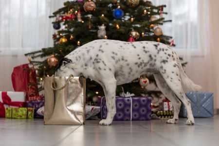 Gorgeous Gifts Can Be Bargains Too