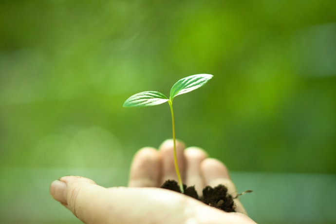 Look For Companies That Produce Environmentally-Friendly Cards and Donate to Charity