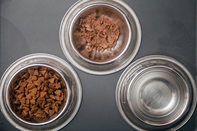 Consider Double and Triple Bowl Sets to Provide More Space for Wet Food, Dry Food and Water Simultaneously