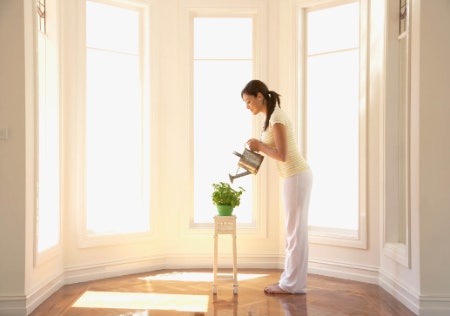 Choose a Plant That Suits the Conditions You Can Provide