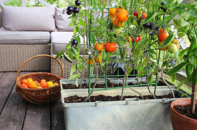 If You're Short on Space, Look for a Gardening Book for Small Gardens or Growing in Pots