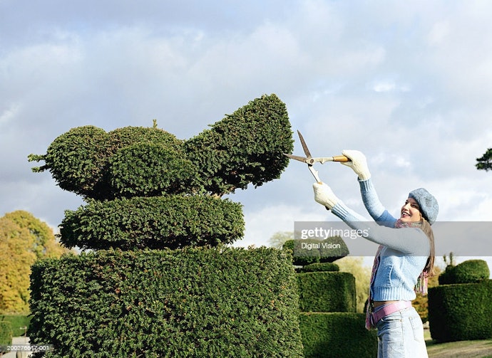 Pick Long Gloves That Cover Your Forearms for Tackling Overgrowth and More Challenging Jobs