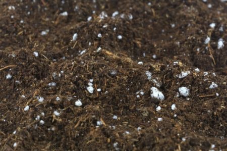 Use Organic Potting Soil for a Mix That’s Chemical and Pesticide Free, or a Non-organic Soil With Styrofoam for Improved Air Flow