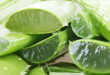 Look for Key Ingredients That Will Soothe and Moisturise Their Skin