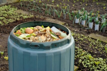 Choose Between a Stationary Bin and a Tumbling One, Depending on Your Budget and How Quickly You Want the Contents to Decompose