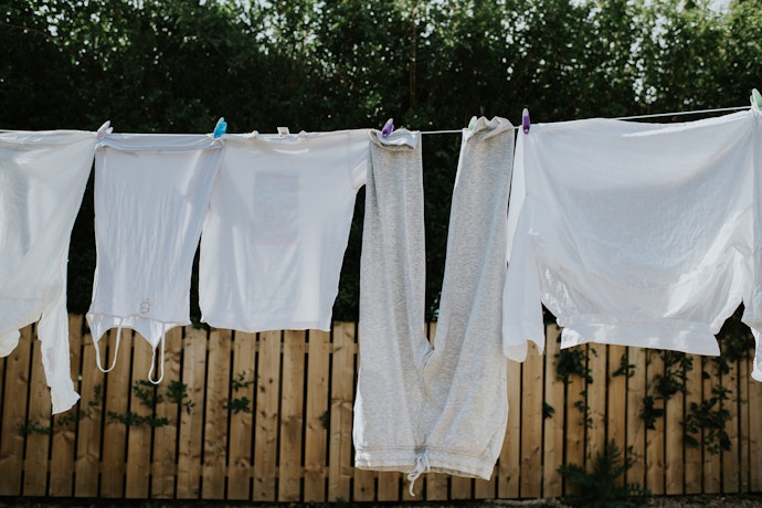 Decide Whether an Indoor or Outdoor Line Would Work Best With Your Space